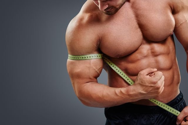 bodybuilder